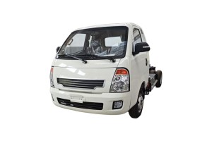 4 Ton Electric Truck for New Energy