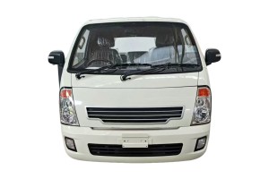 RHD Mini Electric Logistic Truck