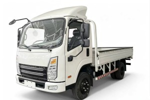 5-tonne 4x2 Lorry Truck